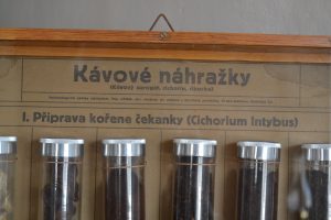Kávové náhražky z Kolína - poučná nástěnná vitrínka
