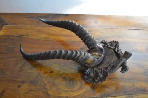 Starožitná lovecká trofej - parůžky antilopa