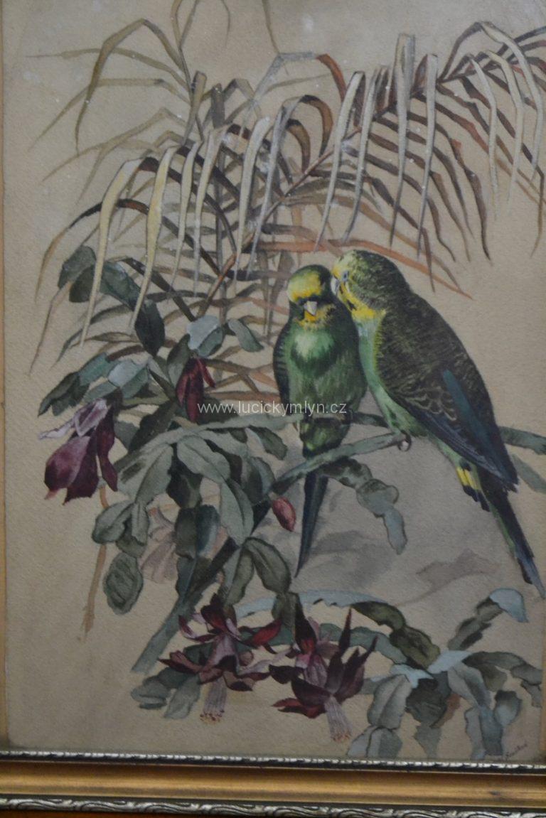 Obraz - jihoameričtí papoušci ara s kvetoucími kaktusy