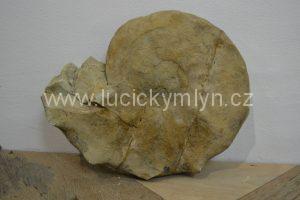 Amonit - zkamenělá schránka živočicha