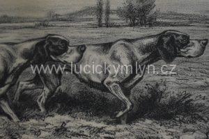 Emil Kotrba - Obrázek s loveckými psy