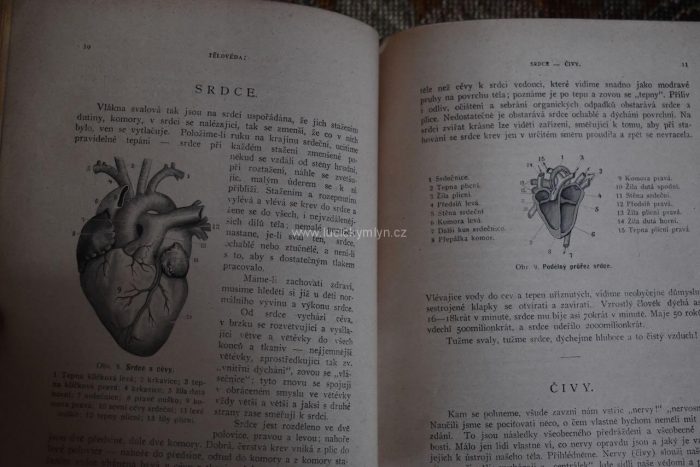 Originální starožitná kniha Žena lékařkou