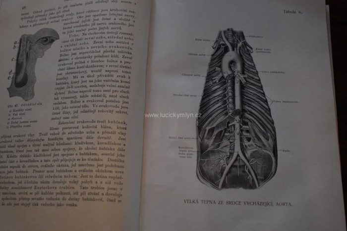 Originální starožitné knihy „Domácí lékařka“, Mudr. Jenny Springerová