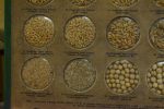 Typový vzorník osiv semen a sadby