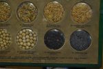 Typový vzorník osiv semen a sadby