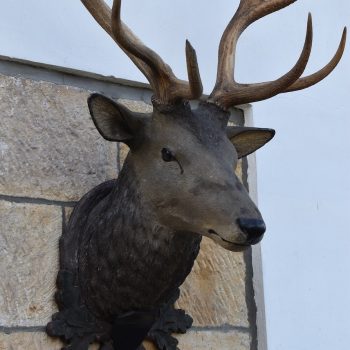 Řezaná hlava jelena s trofejním parožím
