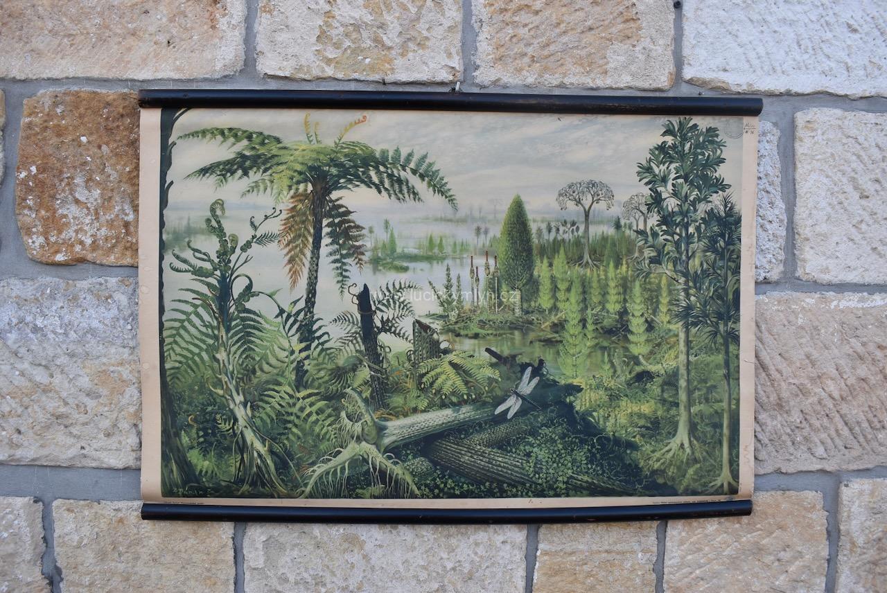 Starožitný plakát Prales Starožitný plakát Prales