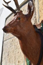 Nástěnná starožitná dekorace z hájovny - srnčí trofej