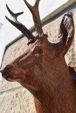 Nástěnná starožitná dekorace z hájovny - srnčí trofej