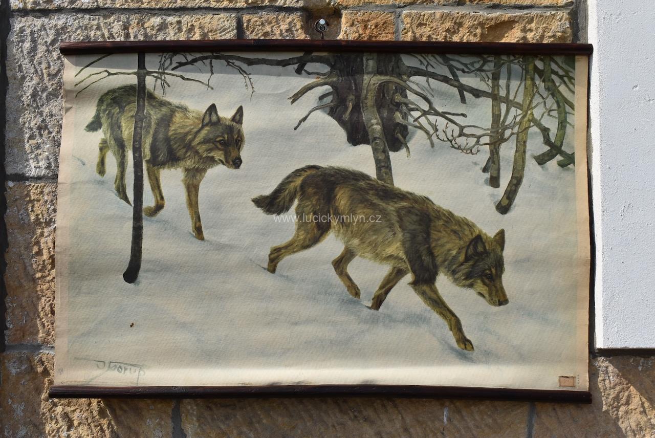 Starožitný tištěný plakát - vlci v zimním lese Starožitný tištěný plakát - vlci v zimním lese