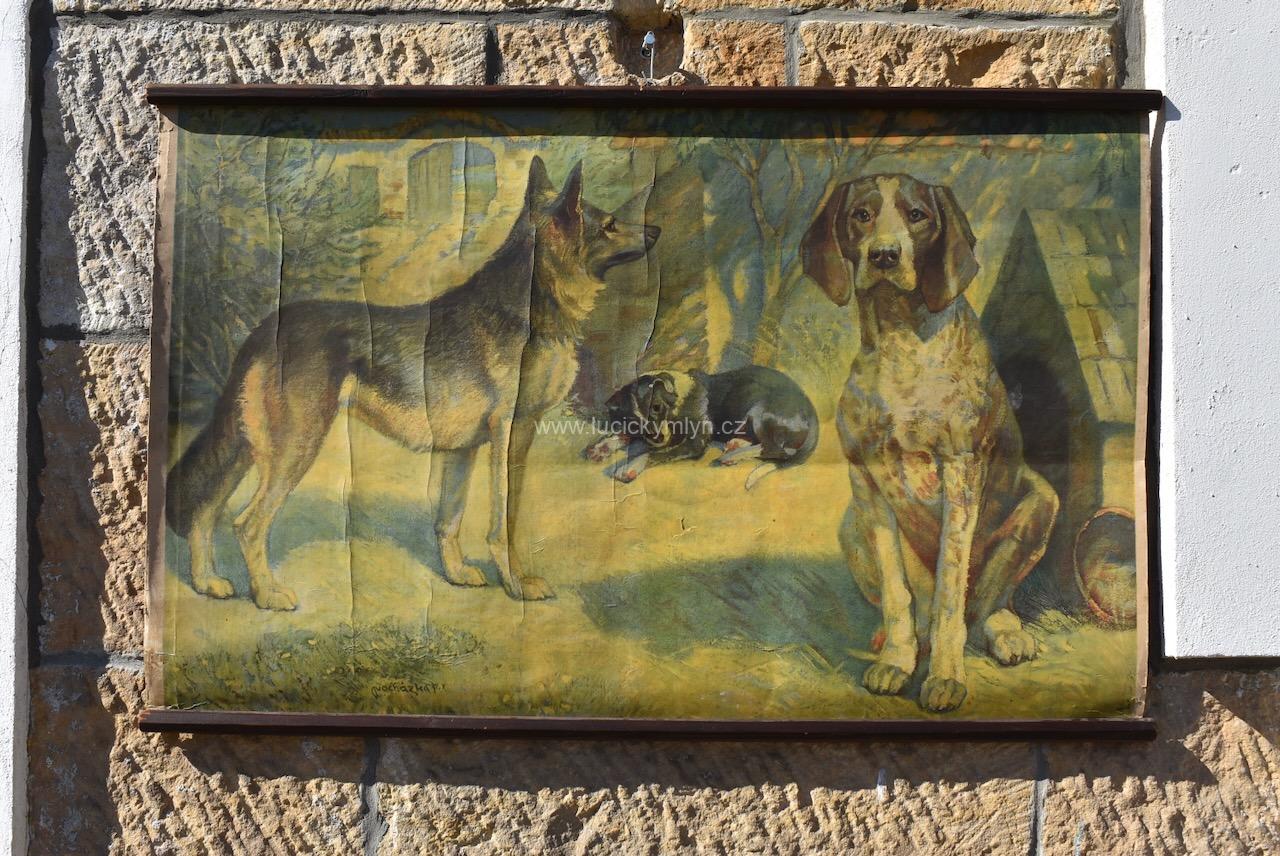 Starožitný plakát František Xaver Procházka Starožitný plakát František Xaver Procházka