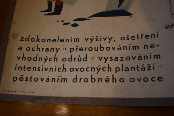 Zajímavá retro kolekce 3 ks větších naučných cedulí z kolorovaného a tištěného kartonu