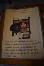 Zajímavá retro kolekce 3 ks větších naučných cedulí z kolorovaného a tištěného kartonu