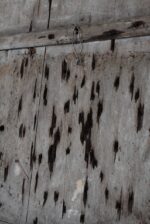 Vzácný veliký starožitný střelecký terč