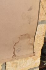 Originální prvorepublikový školní plakát s dvojicí zubrů