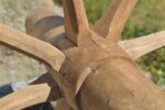 Starožitné kolářsky vyrobené dřevěné kolo z trakaře s kovanou ocelovou obručí