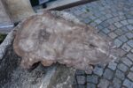 Starožitné litinové nástěnné umyvadlo s reliéfní neorenesanční výzdobou z počátku 20. stol.