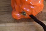 Retro porcelánová stolní lampička ve tvaru červeného pejska s květinou jako noční světlo.