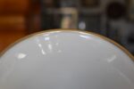 Starožitná porcelánová váza Pirkenhammer Březová s ručně malovaným květinovým dekorem.
