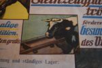 Starožitný reklamní plakát Steinzeugfuttertröge z Mährisch Rothwasser.