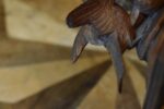 Starožitná šperkovnice Black Forest s řezbou tetřívků na víku a květinovými řezbami.